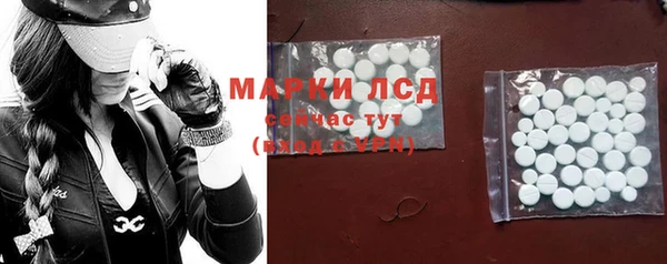 стафф Горнозаводск
