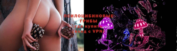 стаф Горно-Алтайск