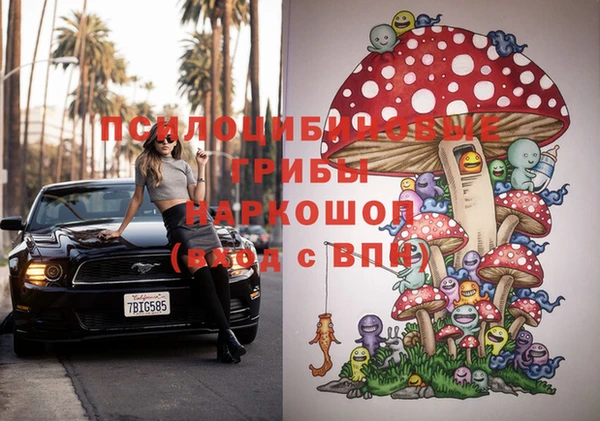 стафф Горнозаводск