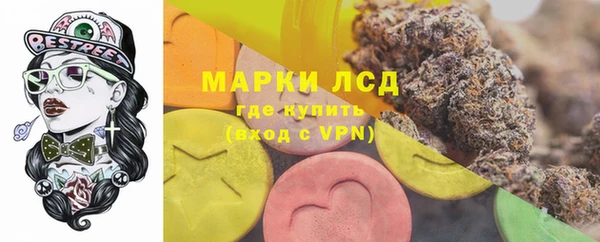 стафф Горнозаводск